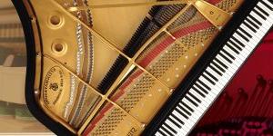 Steinway Grand D